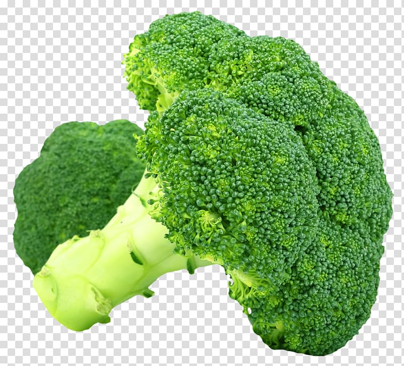 green broccoli, Broccoli Vegetable , Broccoli transparent background PNG clipart