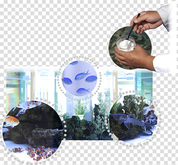 Okayama University of Science 海水魚 Research, Scientist Labo transparent background PNG clipart