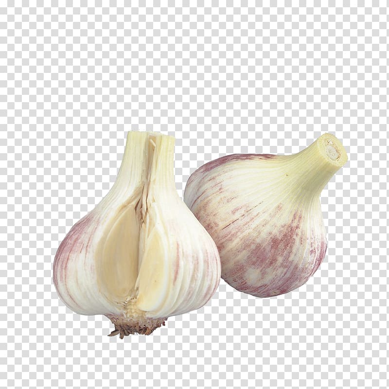 Organic food Garlic Vegetable Allicin Ingredient, garlic transparent background PNG clipart