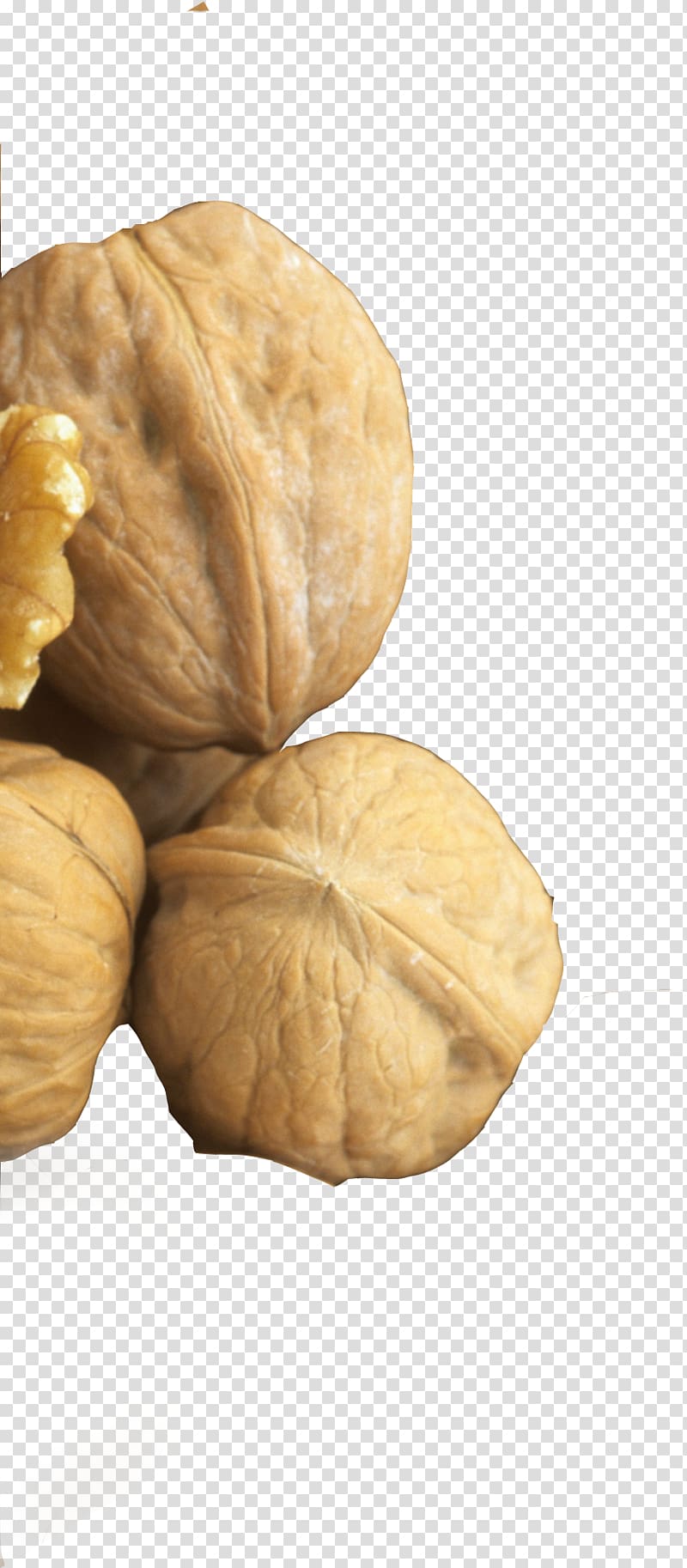 Walnut Five Grains Ingredient Food Whole grain, walnut transparent background PNG clipart