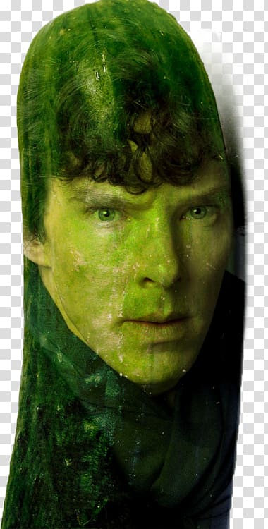 Benedict Cumberbatch Sherlock Smaug Cucumber, sea cucumber transparent background PNG clipart