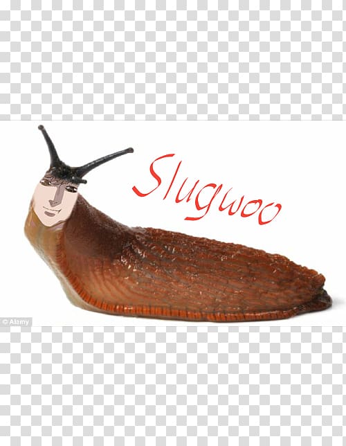 Killing Stalking Slug Manhwa Yaoi Snail, Killing Stalking transparent background PNG clipart