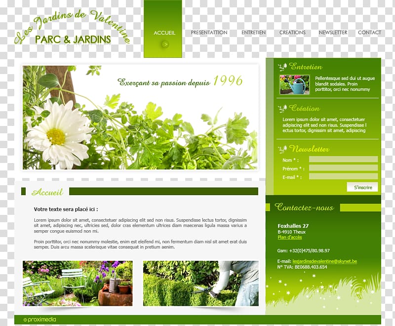 Herb Gardening: Grow Herbs for Healing and Cooking Flora Web page Reference work, layout layout transparent background PNG clipart