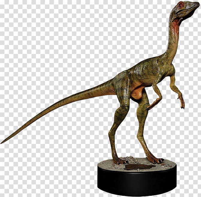 Tyrannosaurus Compsognathus Velociraptor Cathy Bowman Jurassic Park, jurassic park transparent background PNG clipart