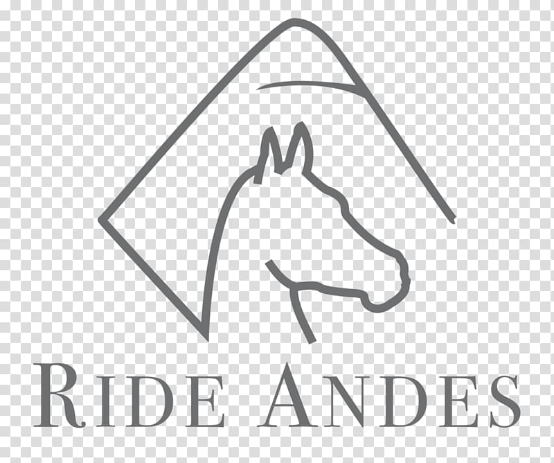 Horse Equestrian Logo Los Andes Cotopaxi, horse transparent background PNG clipart