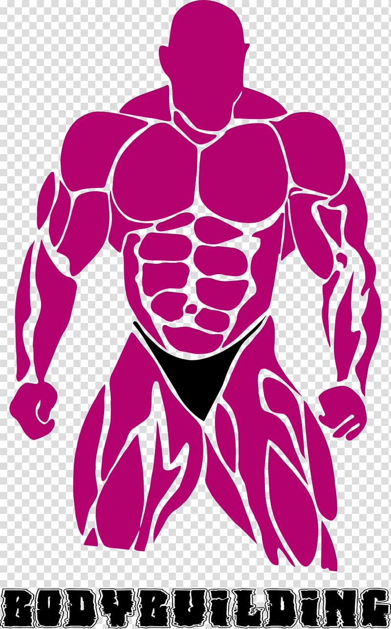 Bodybuilding Fitness Centre , muscular man transparent background PNG clipart