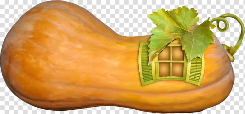 Pumpkin Gourd Winter squash Cucurbita maxima Butternut squash, squosh transparent background PNG clipart