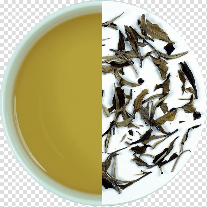 Assam tea Darjeeling tea White tea Baihao Yinzhen, white tea transparent background PNG clipart