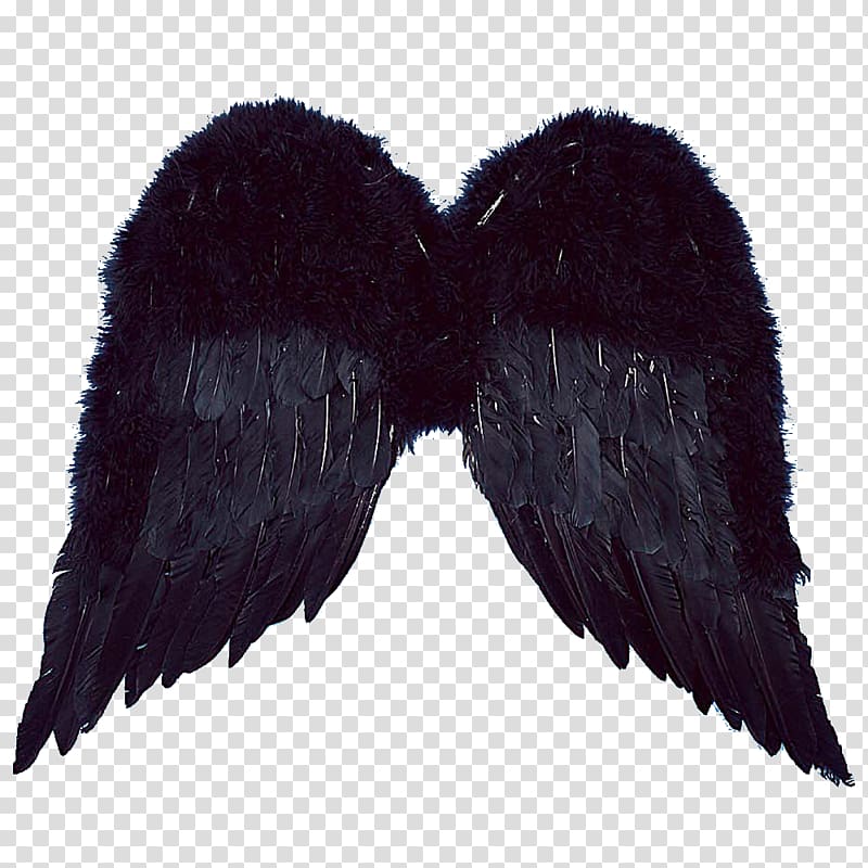 Wing Standard test Raster graphics editor, angel wings transparent background PNG clipart