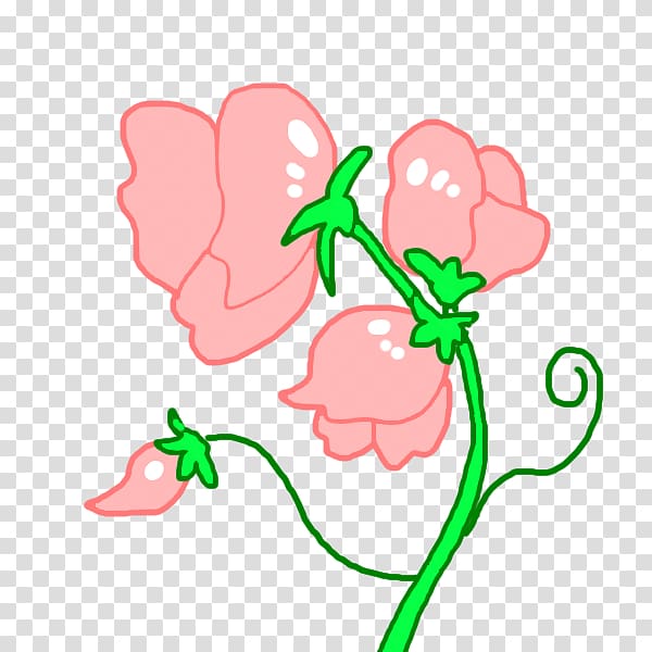Floral design Flower Sweet pea Tulip Ipomoea nil, peas transparent background PNG clipart