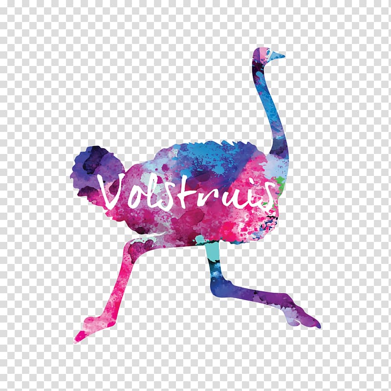 Common ostrich Volstruis Art & Design Studio BH MAKE UP STUDIO Graphic design Bloemfontein FASHION academy, design transparent background PNG clipart