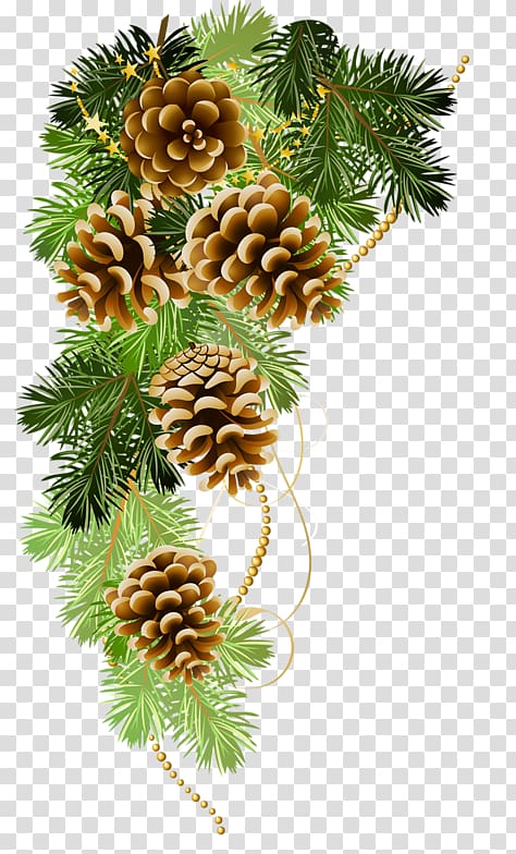 Christmas ornament Christmas Day Christmas decoration Fir, pine boughs transparent background PNG clipart