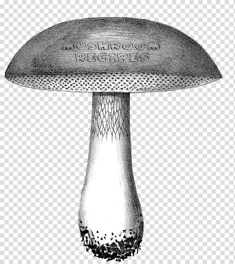 Mushroom Art, mushroom transparent background PNG clipart