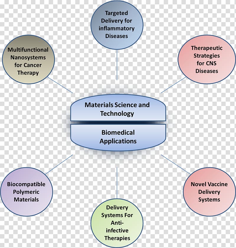 Northeastern University Organization Pennsylvania State University System Diagram, others transparent background PNG clipart