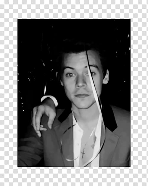 Harry Styles One Direction Birthday Love Portrait, one direction transparent background PNG clipart