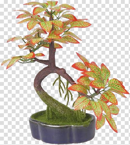 Bonsai Flowerpot Ornamental plant Penjing, tree transparent background PNG clipart