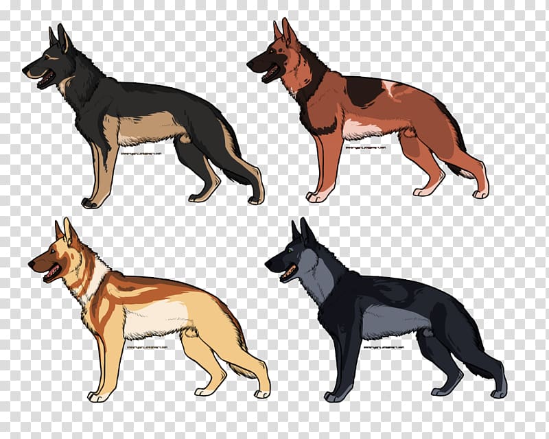 German Shepherd Australian Kelpie Dog breed Razas nativas vulnerables, German dog transparent background PNG clipart