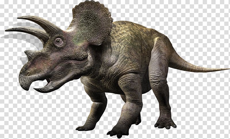 Styracosaurus Pachyrhinosaurus Triceratops Torosaurus Late Cretaceous, dinosaur transparent background PNG clipart