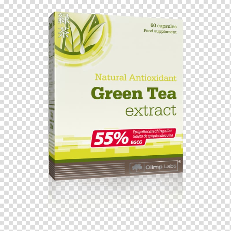 Green tea Epigallocatechin gallate Tea plant Extract, green tea transparent background PNG clipart