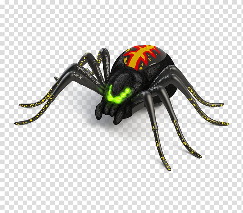 Spider Tarantula Toy Pet Terrarium, spider transparent background PNG clipart