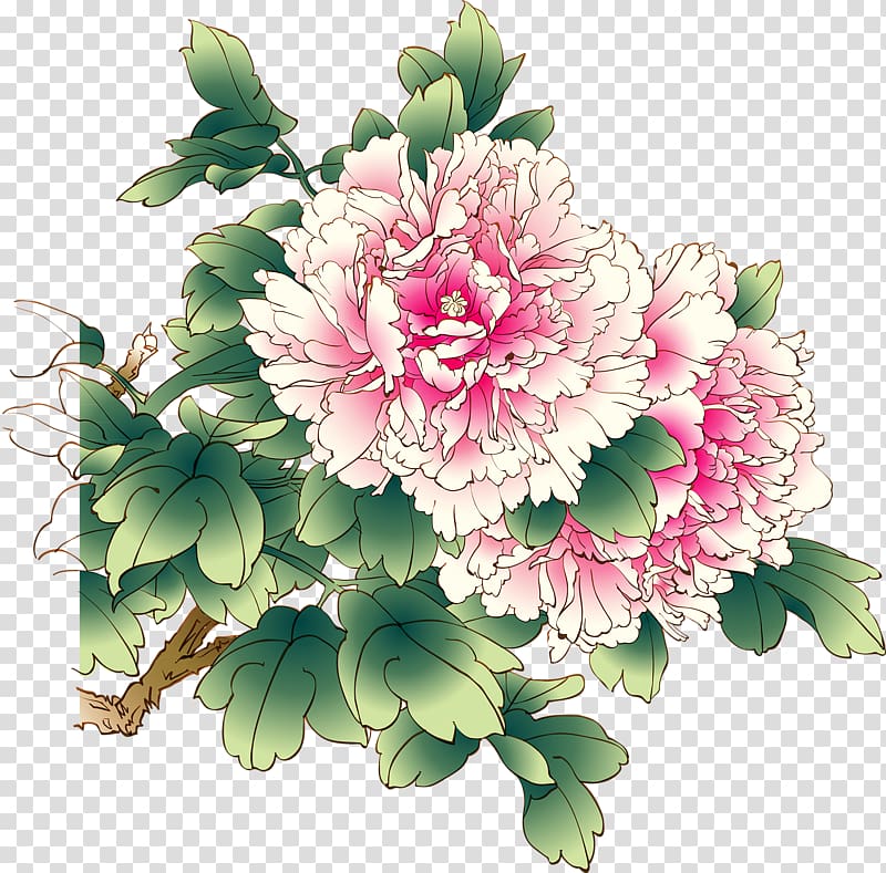 Chinese peony Moutan peony , peony transparent background PNG clipart