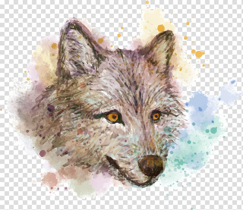 Gray wolf Watercolor painting Red fox Drawing, hand painted watercolor wolf transparent background PNG clipart