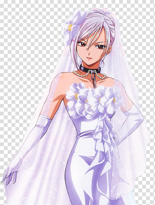 Moka Akashiya Rosario + Vampire Kaname Kuran Yuki Onna, Akihisa Ikeda transparent background PNG clipart