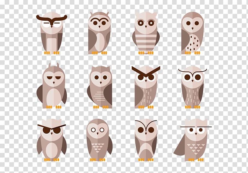 Owl Drawing, cute owl transparent background PNG clipart