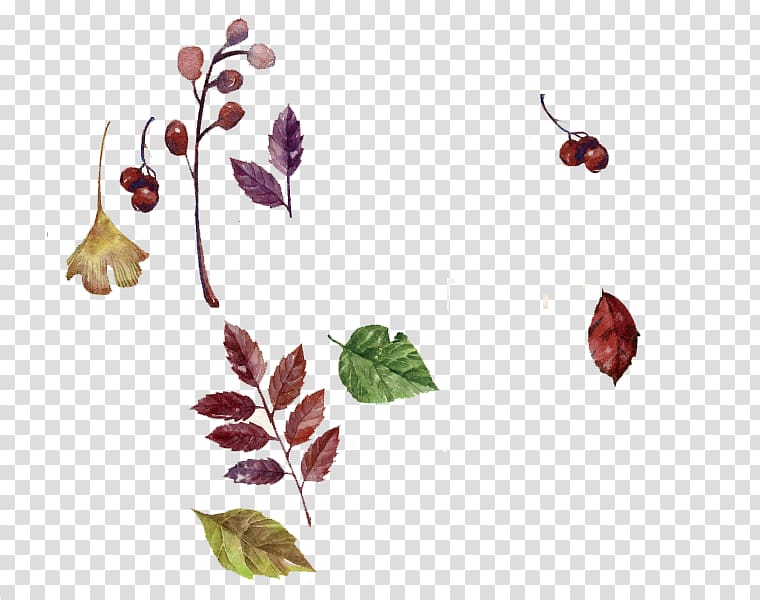 Watercolor painting Autumn Deciduous, Creative watercolor autumn leaves transparent background PNG clipart