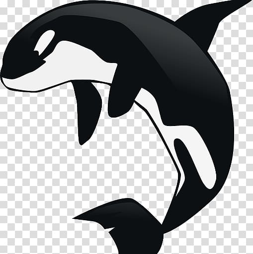 Killer whale Baby Whale , whale transparent background PNG clipart