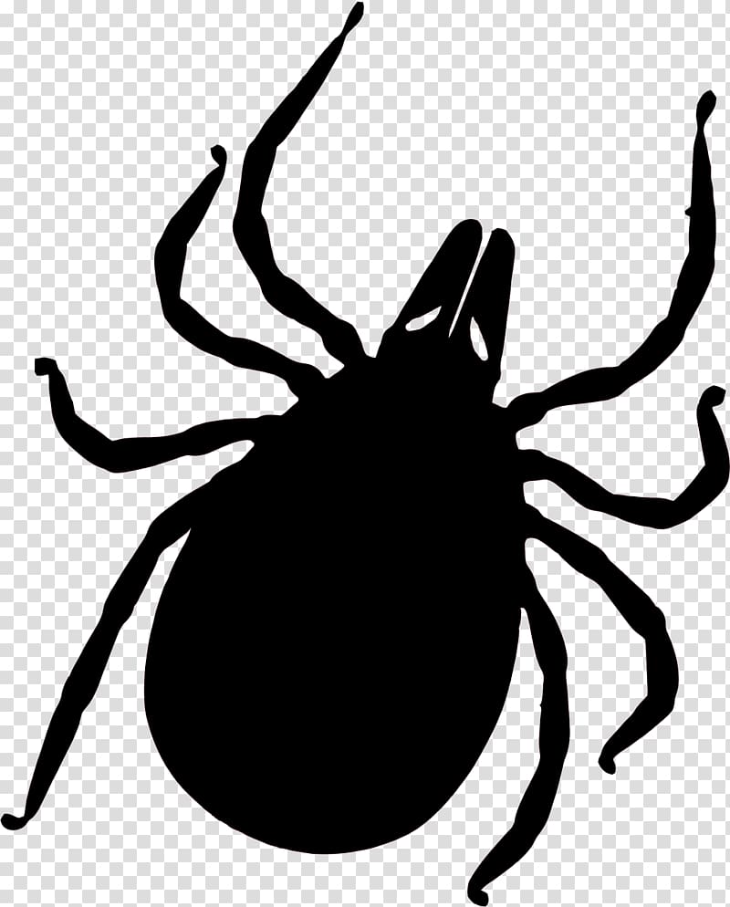 Tick-borne disease Lyme disease Deer tick Insect bites and stings, transparent background PNG clipart