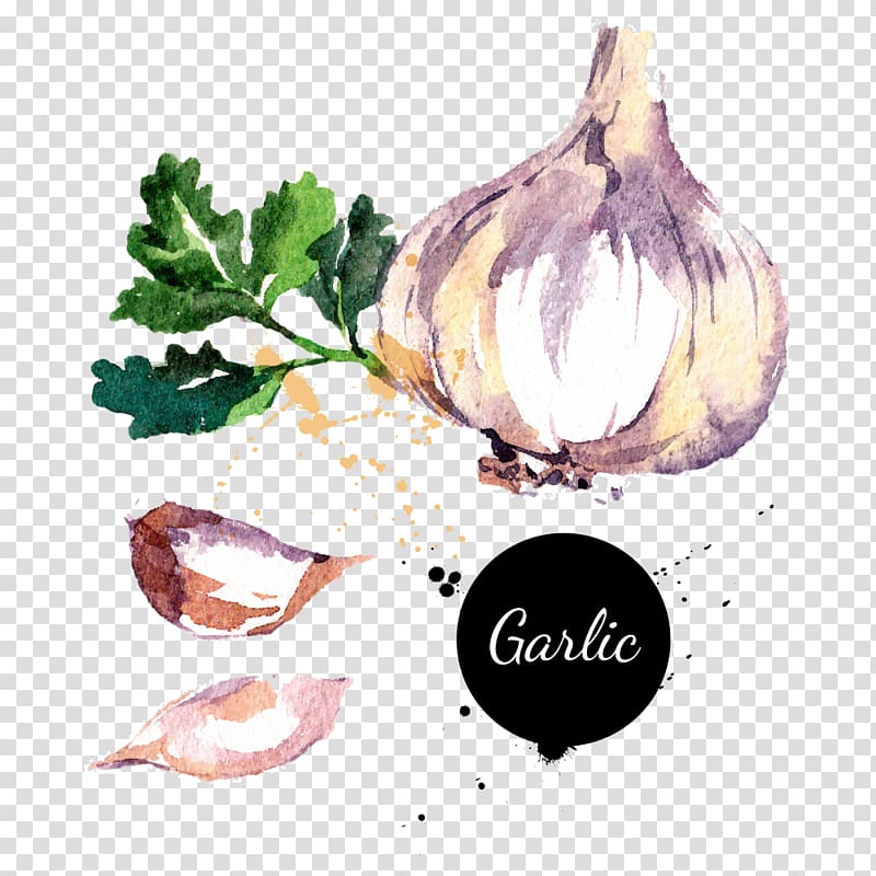 Potato onion Chili con carne Garlic Vegetable, garlic transparent background PNG clipart