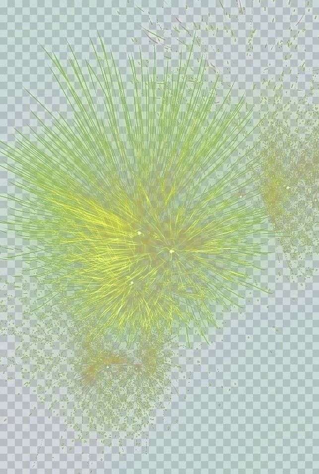 Petal Green Dandelion , Fireworks transparent background PNG clipart