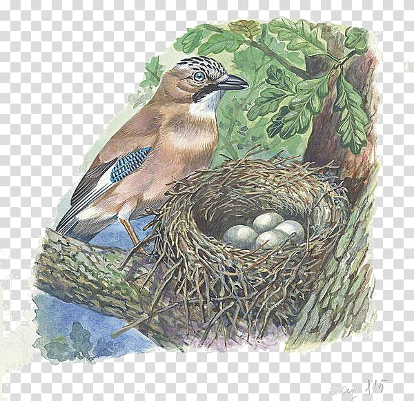 Painting a Bird's Nest - Leslie Fehling - Everyday Artist