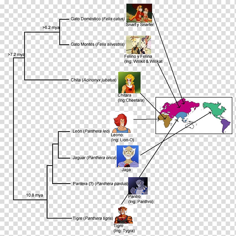 Panthro Character Name Phylogenetics Diagram, others transparent background PNG clipart