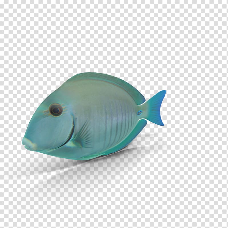 Blue Seabed Fish Organism, Blue underwater world of fish transparent background PNG clipart