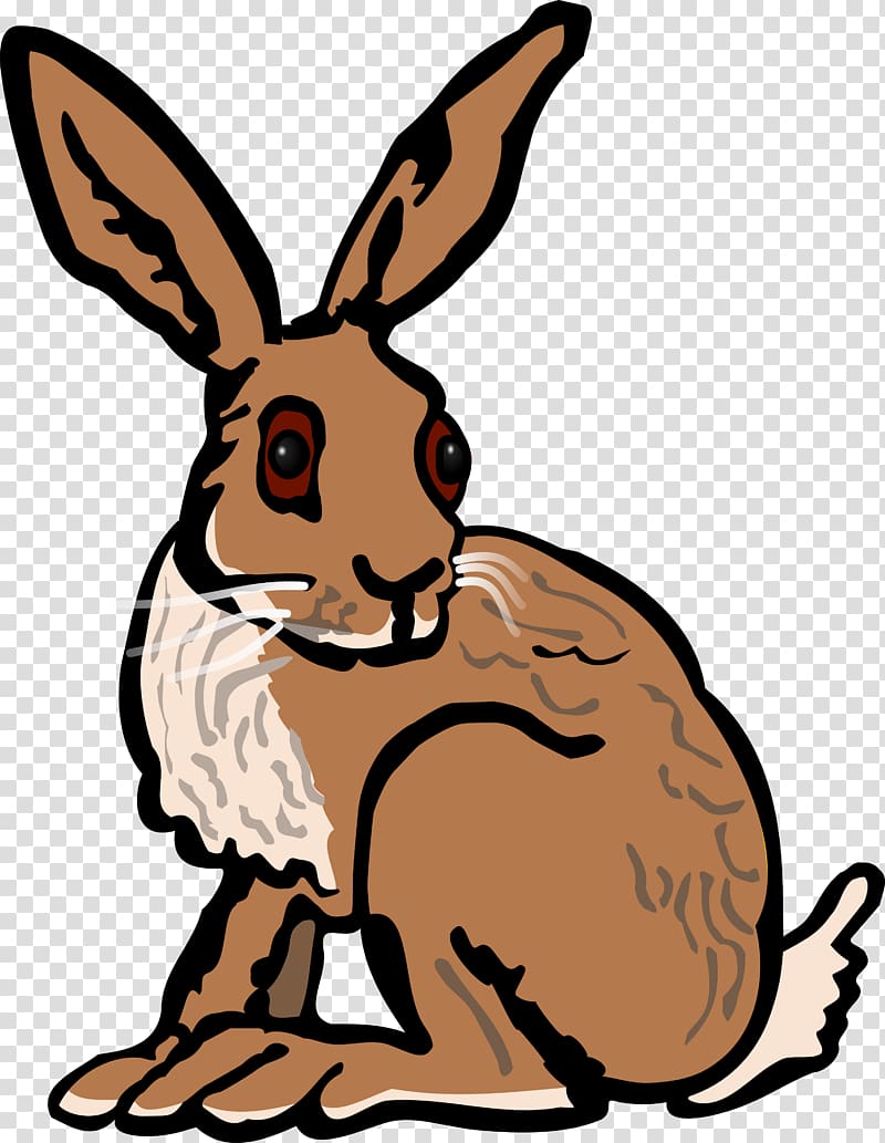 European hare Arctic hare Rabbit , hare transparent background PNG clipart