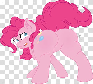 Pony Horse , horse transparent background PNG clipart thumbnail