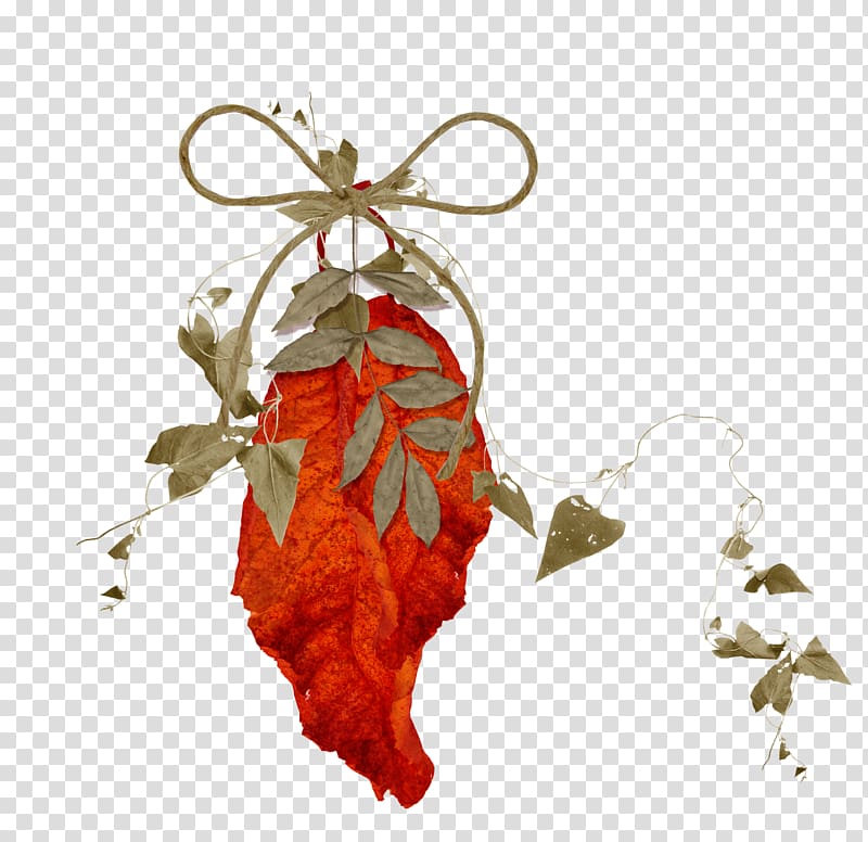 Leaf Rope Shoelace knot, Bow rope foliage transparent background PNG clipart