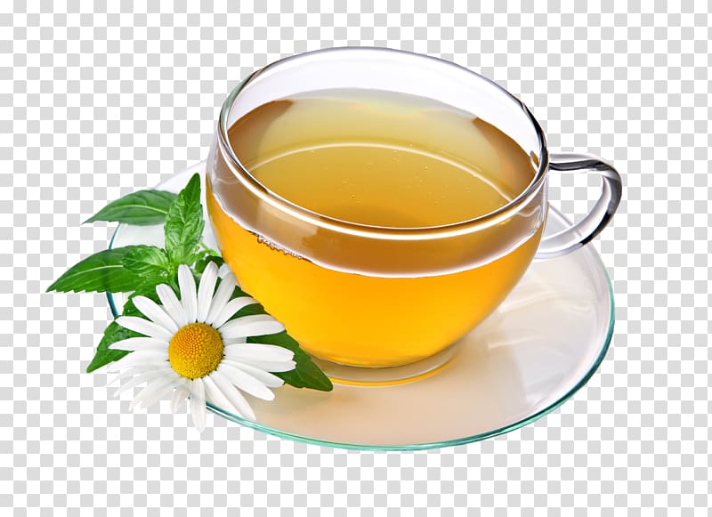 clear glass teacup illustration, Green tea Herbal tea Drink, Tea Pic transparent background PNG clipart