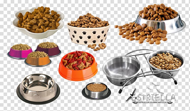 Stainless steel Cat Food Dog, Cat transparent background PNG clipart