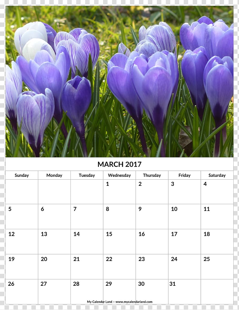 Calendar Mindsoother Therapy Center 0 2018 Audi A4 Crocus flavus, March Bank Holiday transparent background PNG clipart