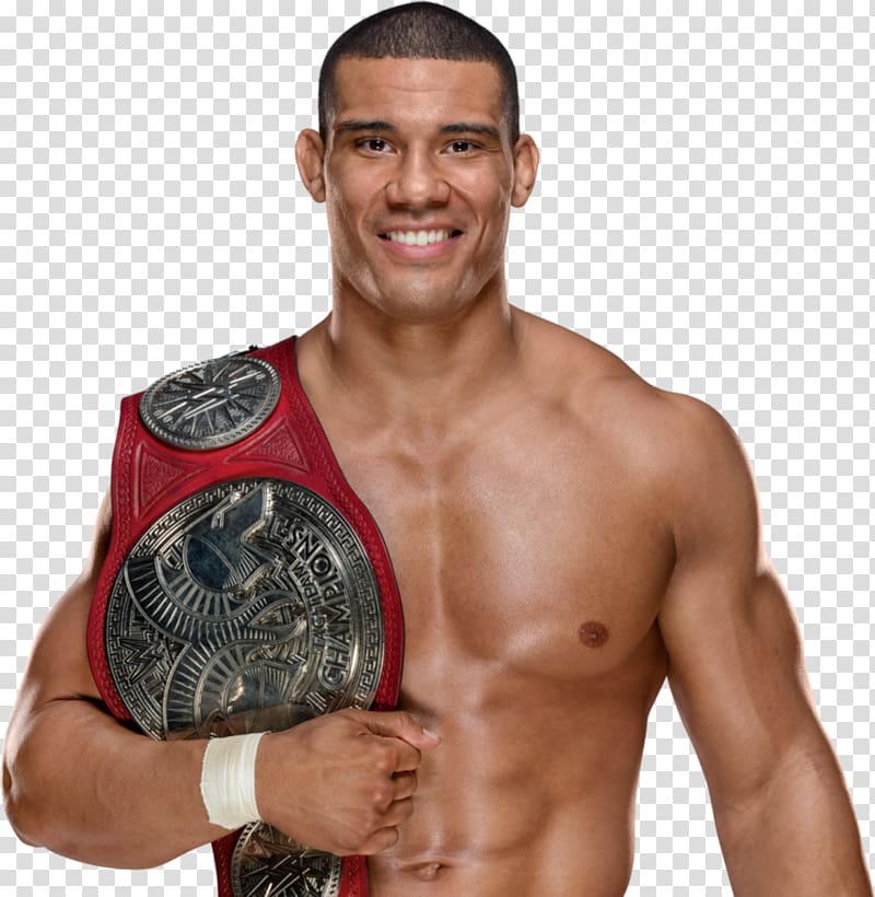 Jason Jordan WWE Raw Tag Team Championship Professional Wrestler Cesaro ...