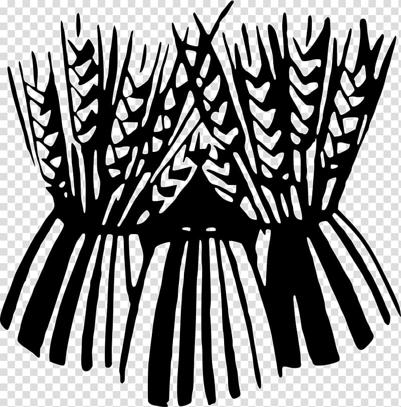 Sheaf Grain , wheat transparent background PNG clipart