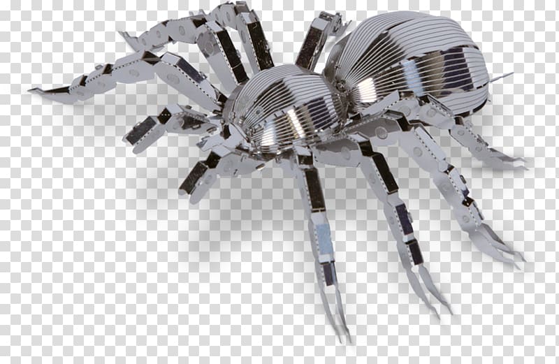 Spider Tarantula Metal Earth Arthropod, spider transparent background PNG clipart
