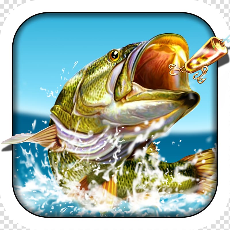 Pocket Fishing Fishing Fishing i Fishing 3 Ultimate Fishing Simulator, Fishing transparent background PNG clipart