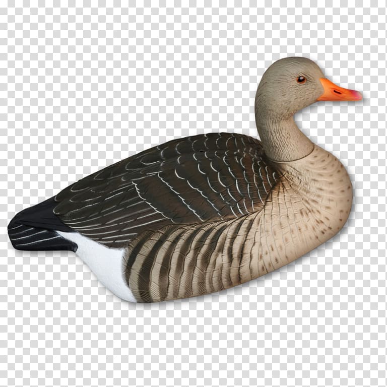 Mallard Goose Duck Hunting Bird, goose transparent background PNG clipart