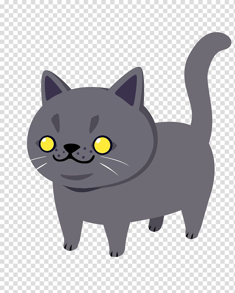 Korat Chartreux Black cat Kitten Domestic short-haired cat, kitten transparent background PNG clipart