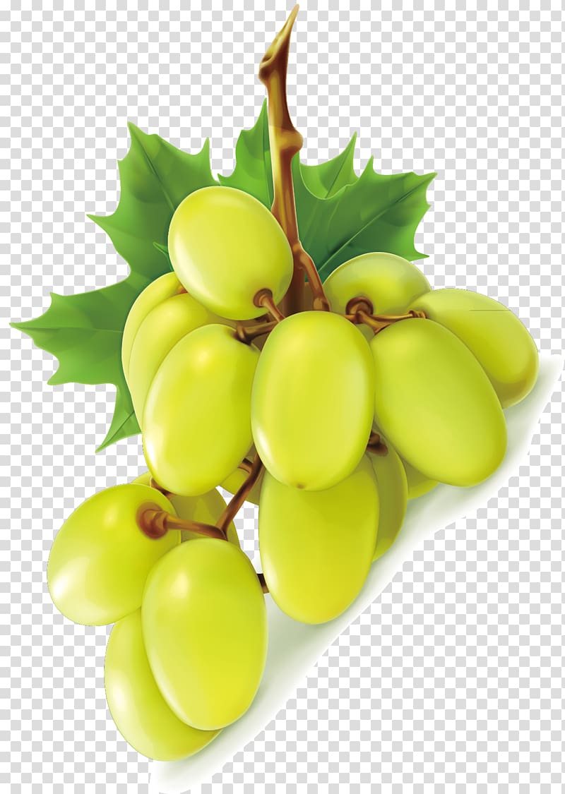 Grape Wine Green Seedless fruit, Green grapes transparent background PNG clipart