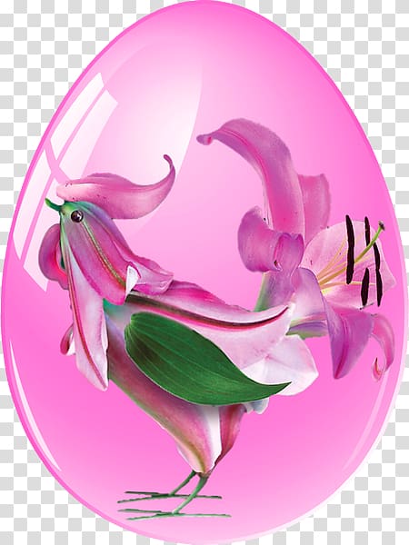 China painting Flower Dianthus, egg tube transparent background PNG clipart
